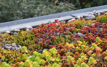 the cost of Beltoy green roof installation