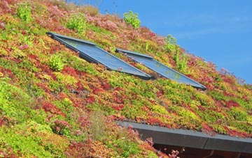 Beltoy living roof systems