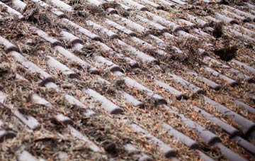 Beltoy roof cleaning companies